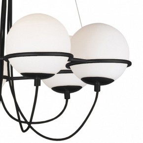 Подвесная люстра Lightstar Globo 803267 в Лысьве - lysva.mebel24.online | фото 5