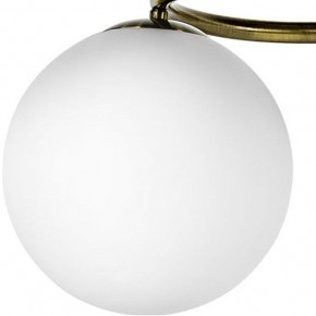 Подвесная люстра Lightstar Globo 815091 в Лысьве - lysva.mebel24.online | фото 3