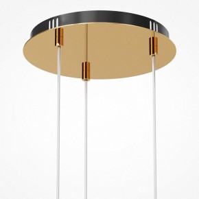 Подвесная люстра Maytoni Drop MOD273PL-L33G3K в Лысьве - lysva.mebel24.online | фото 6