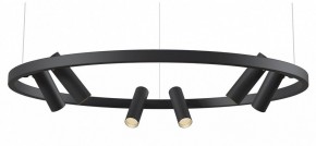 Подвесная люстра Maytoni Halo MOD102PL-L42BK в Лысьве - lysva.mebel24.online | фото