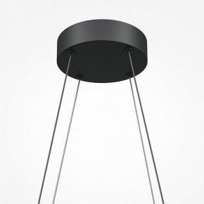 Подвесная люстра Maytoni Halo MOD244PL-L50BK в Лысьве - lysva.mebel24.online | фото 5