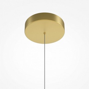 Подвесная люстра Maytoni Radiance MOD278PL-L86G3K в Лысьве - lysva.mebel24.online | фото 6