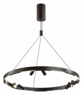 Подвесная люстра Odeon Light Beveren 6683/103L в Лысьве - lysva.mebel24.online | фото 2