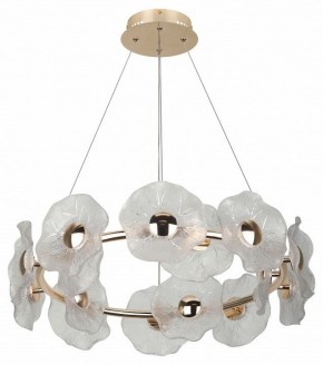 Подвесная люстра Rivoli Shannon Б0061947 в Лысьве - lysva.mebel24.online | фото 4