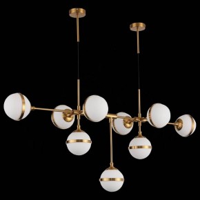 Подвесная люстра ST-Luce Arbe SL1157.303.09 в Лысьве - lysva.mebel24.online | фото 4