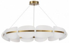 Подвесная люстра ST-Luce Etoile SL1304.203.65 в Лысьве - lysva.mebel24.online | фото 3