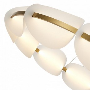 Подвесная люстра ST-Luce Etoile SL1304.203.65 в Лысьве - lysva.mebel24.online | фото 6