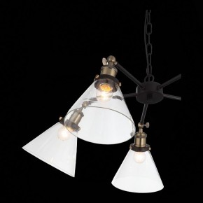 Подвесная люстра ST-Luce Evoluto SL237.413.05 в Лысьве - lysva.mebel24.online | фото 7