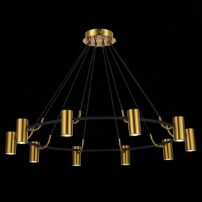 Подвесная люстра ST-Luce Talia SL1215.403.10 в Лысьве - lysva.mebel24.online | фото 4