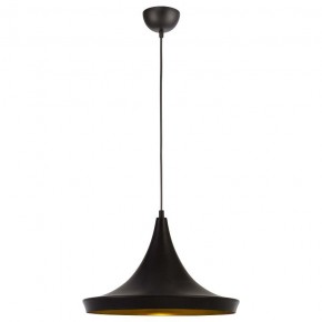 Подвесной светильник Arte Lamp Capello A3406SP-1BK в Лысьве - lysva.mebel24.online | фото 2