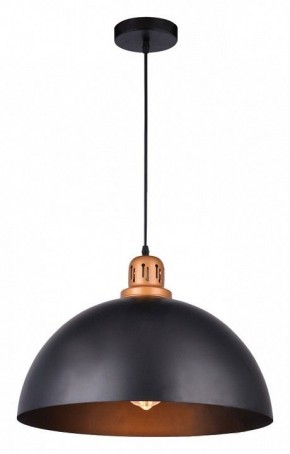 Подвесной светильник Arte Lamp Eurica A4249SP-1BK в Лысьве - lysva.mebel24.online | фото 2