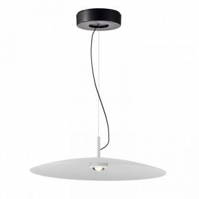 Подвесной светильник Favourite Lars 4410-2P в Лысьве - lysva.mebel24.online | фото 2