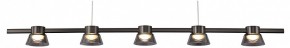 Подвесной светильник Favourite Twix 4247-5P в Лысьве - lysva.mebel24.online | фото