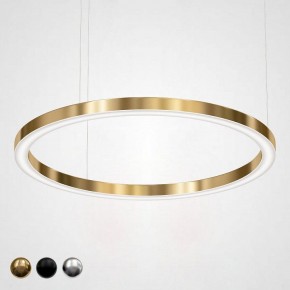 Подвесной светильник Imperiumloft Light Ring Horizontal 40.1454-120 в Лысьве - lysva.mebel24.online | фото