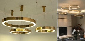 Подвесной светильник Imperiumloft Light Ring Horizontal 40.1454-120 в Лысьве - lysva.mebel24.online | фото 2