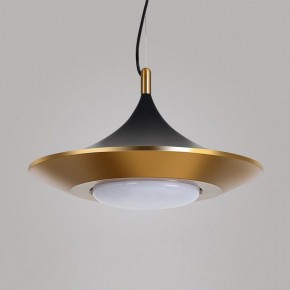 Подвесной светильник Imperiumloft Rask RASK01 в Лысьве - lysva.mebel24.online | фото