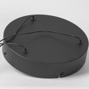 Подвесной светильник Lussole Macon LSP-7310 в Лысьве - lysva.mebel24.online | фото 6
