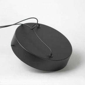 Подвесной светильник Lussole Mitchell LSP-7308 в Лысьве - lysva.mebel24.online | фото 5