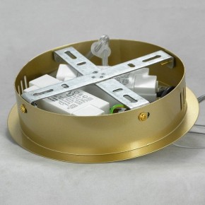Подвесной светильник Lussole River LSP-8367 в Лысьве - lysva.mebel24.online | фото 6