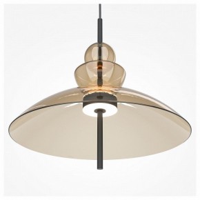 Подвесной светильник Maytoni Bangkok MOD185PL-L12CG3K3 в Лысьве - lysva.mebel24.online | фото 5