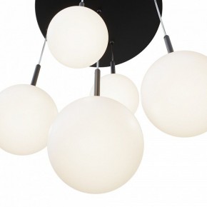 Подвесной светильник Maytoni Basic form MOD321PL-05B в Лысьве - lysva.mebel24.online | фото