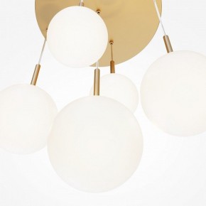 Подвесной светильник Maytoni Basic form MOD321PL-05G1 в Лысьве - lysva.mebel24.online | фото 3