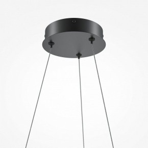 Подвесной светильник Maytoni Curve MOD241PL-L60BK в Лысьве - lysva.mebel24.online | фото 6
