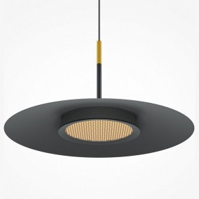 Подвесной светильник Maytoni Halo MOD041PL-L15B3K1 в Лысьве - lysva.mebel24.online | фото