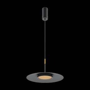 Подвесной светильник Maytoni Halo MOD041PL-L15B3K1 в Лысьве - lysva.mebel24.online | фото 4