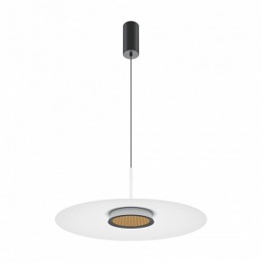 Подвесной светильник Maytoni Halo MOD041PL-L15W3K1 в Лысьве - lysva.mebel24.online | фото 2