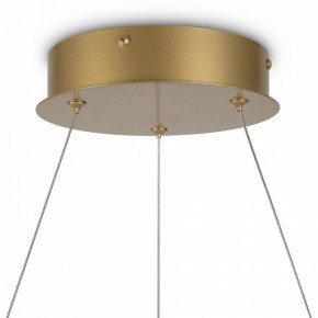 Подвесной светильник Maytoni Halo MOD100PL-L47BSK1 в Лысьве - lysva.mebel24.online | фото 6