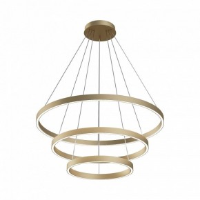 Подвесной светильник Maytoni Rim MOD058PL-L100BSK в Лысьве - lysva.mebel24.online | фото 3
