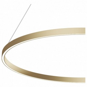 Подвесной светильник Maytoni Rim MOD058PL-L54BS4K в Лысьве - lysva.mebel24.online | фото 5