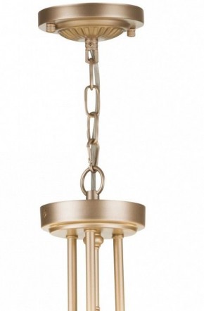 Подвесной светильник Maytoni Roma ARM006PL-06G в Лысьве - lysva.mebel24.online | фото 5