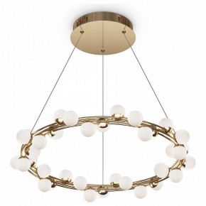 Подвесной светильник Maytoni Tessara MOD081PL-L50G3K в Лысьве - lysva.mebel24.online | фото 2