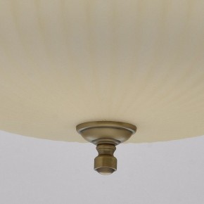 Подвесной светильник MW-Light Афродита 1 317010504 в Лысьве - lysva.mebel24.online | фото 9