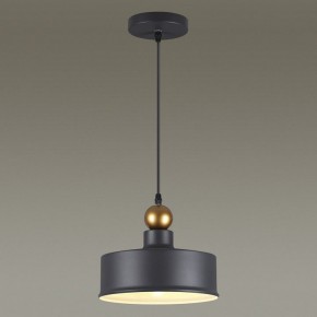 Подвесной светильник Odeon Light Bolli 4088/1 в Лысьве - lysva.mebel24.online | фото 4