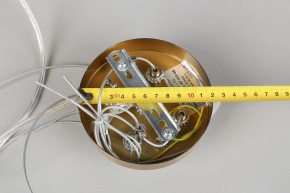 Подвесной светильник Omnilux Cesana OML-67103-08 в Лысьве - lysva.mebel24.online | фото 9