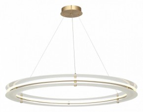 Подвесной светильник ST-Luce FAGY SL6245.213.01 в Лысьве - lysva.mebel24.online | фото 4