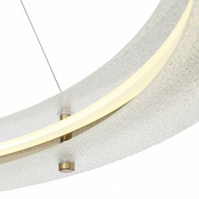 Подвесной светильник ST-Luce FAGY SL6245.213.01 в Лысьве - lysva.mebel24.online | фото 6
