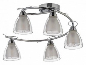 Потолочная люстра Arti Lampadari Paola, Tavenna Nickel Paola E 1.1.5 N в Лысьве - lysva.mebel24.online | фото