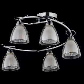 Потолочная люстра Arti Lampadari Paola, Tavenna Nickel Paola E 1.1.5 N в Лысьве - lysva.mebel24.online | фото 2