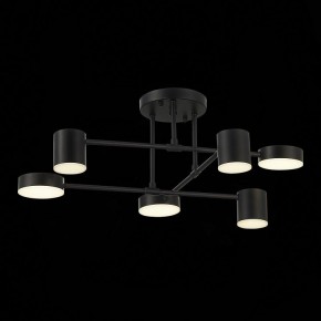 Потолочная люстра EVOLUCE Nobel SLE201042-06 в Лысьве - lysva.mebel24.online | фото 13