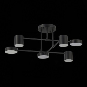 Потолочная люстра EVOLUCE Nobel SLE201042-06 в Лысьве - lysva.mebel24.online | фото 14