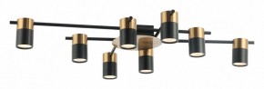 Потолочная люстра Favourite Topper 2825-8P в Лысьве - lysva.mebel24.online | фото 2