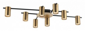Потолочная люстра Favourite Topper 2827-8P в Лысьве - lysva.mebel24.online | фото 2