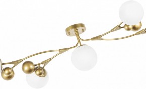 Потолочная люстра Lightstar Croco 815553 в Лысьве - lysva.mebel24.online | фото 6