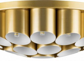 Потолочная люстра Lightstar Siena 720222 в Лысьве - lysva.mebel24.online | фото 3