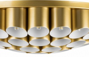 Потолочная люстра Lightstar Siena 720402 в Лысьве - lysva.mebel24.online | фото 3