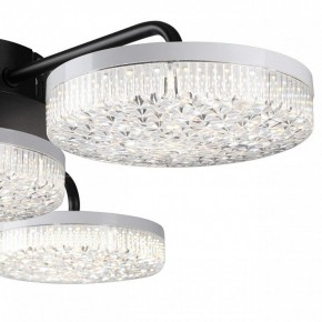 Потолочная люстра Lumion Didana 8236/4CL в Лысьве - lysva.mebel24.online | фото 7
